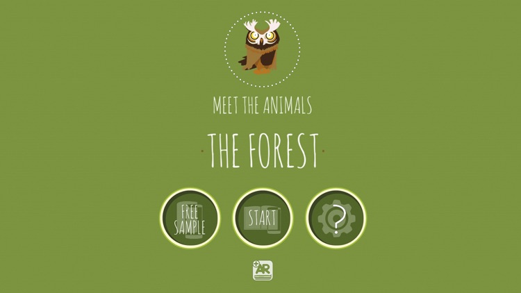 Meet the Animals - The Forest