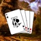 if you like to play solitaire card games, you can not miss the spring solitaire