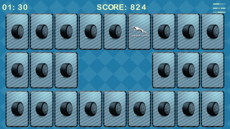Brains Vs Cars
