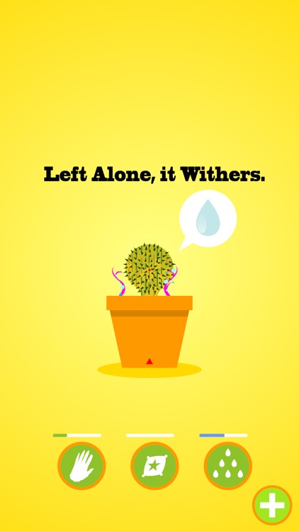 Lucky Cactus Grow