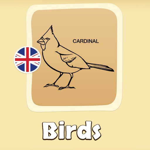 Birds Coloring Book with Sound