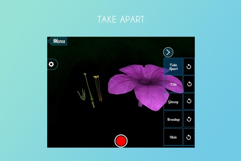 Virutla Reality(VR) Petunia Flower screenshot 2