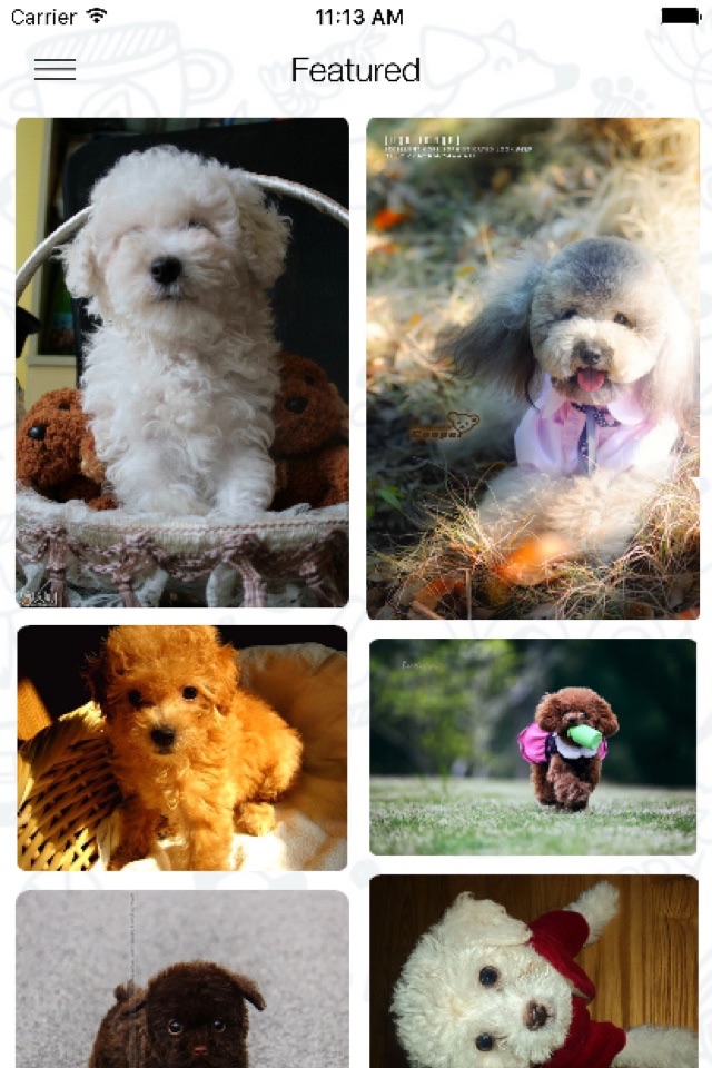 10000+ Cute HD Wallpapers : New retina themes and background screenshot 4