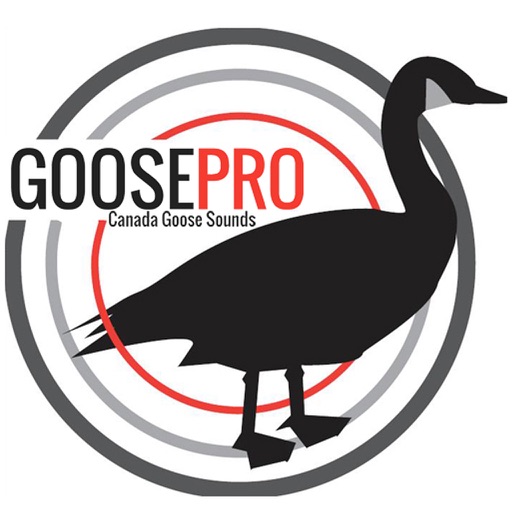 Goose Hunting Calls-Goose Sounds-Goose Call App
