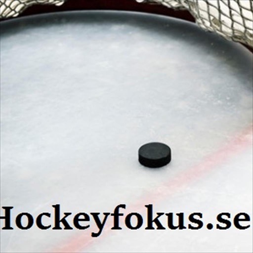 Hockeyfokus.se icon
