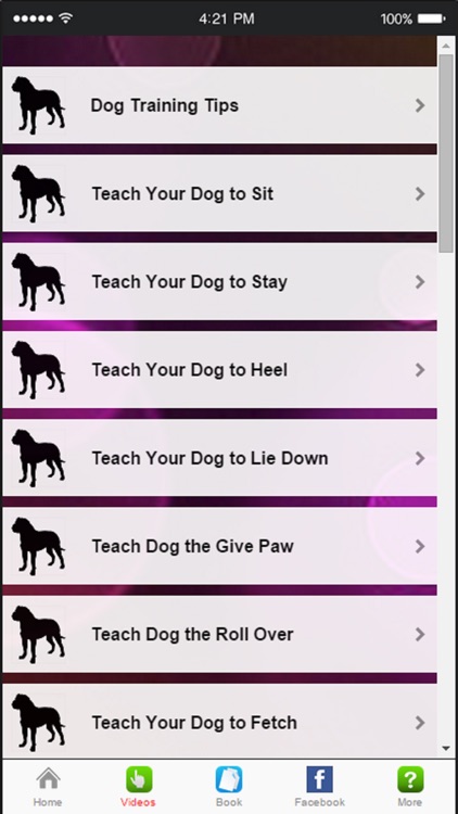 How To Train Dog - Canine Advice, Tips and Tutorials