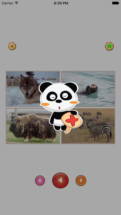 Animal sounds - App for kids screenshot-4