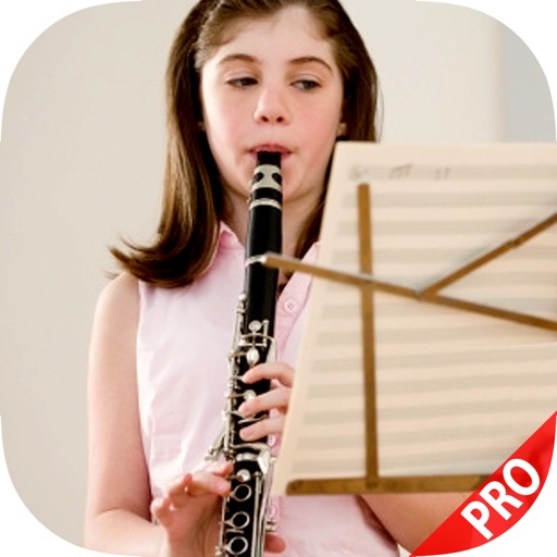 Play a Clarinet Made Easy For Beginners icon