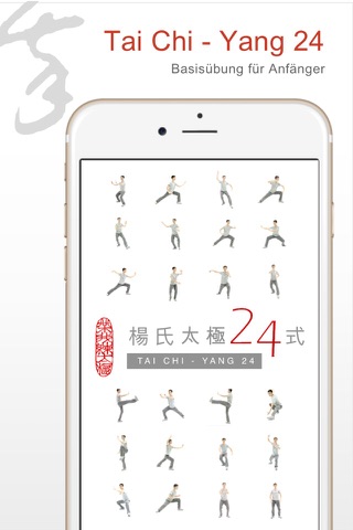 Tai Chi with Me - A video tool to help effective learning and memorizing screenshot 4