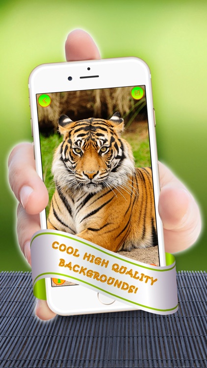 Tiger Wallpaper - Wild Edition - Big Cat Background & Jungle Animal Lock Screen Theme.s screenshot-3