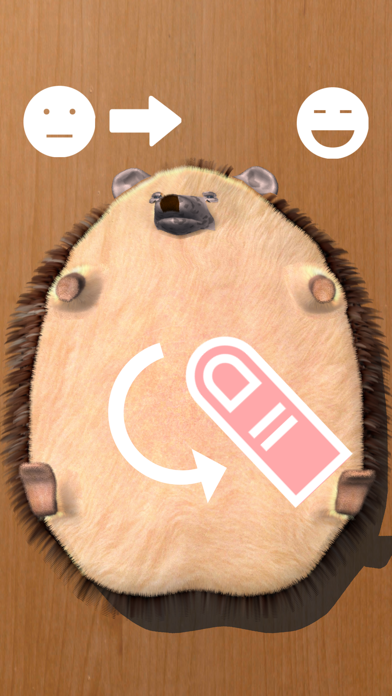 How to cancel & delete Super Belly Rub: Hedgehog Massage Parlor from iphone & ipad 2