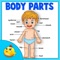 Learning Human Body Part 1