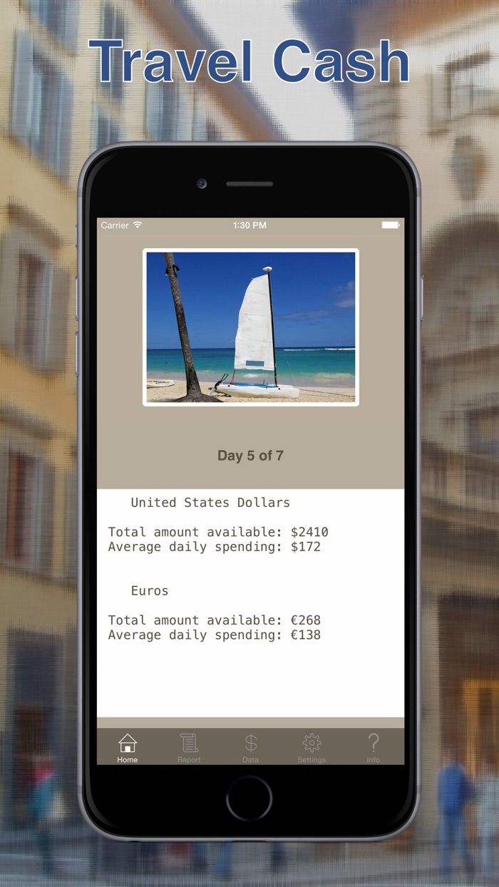 Travel Cash Tracker