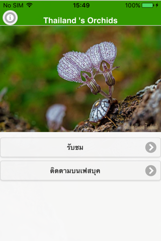 ThailandOrchids screenshot 2