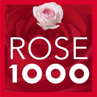 切り花 バラ図鑑 1000 PC 용