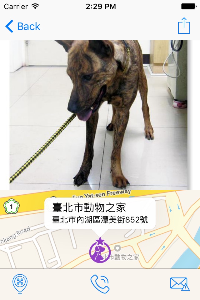 動物領養－AnimalAdoption screenshot 4