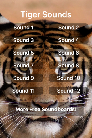 Tiger Sounds - náhled