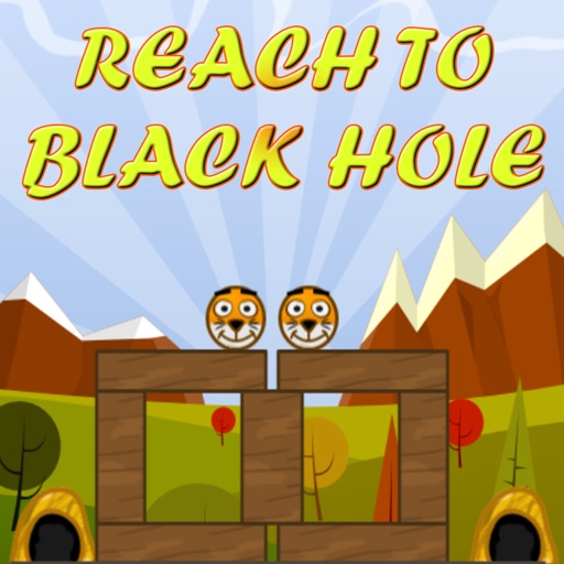 Reach To Black Hole