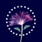 Flower Live Wallpapers - Animated Moving Backgrounds