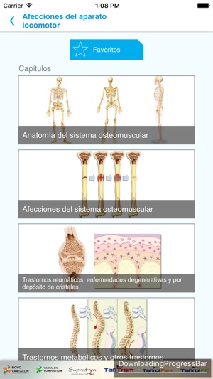 Mini Atlas Musculo Esquelético