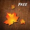 By this app, you are able to add various kinds of remarkably beautiful effects like snow, bubble, rain, maple leaf, etc