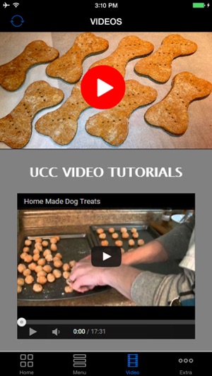 Best Homemade Natural Dog Foods & Organic Treats Recipes Gui(圖3)-速報App