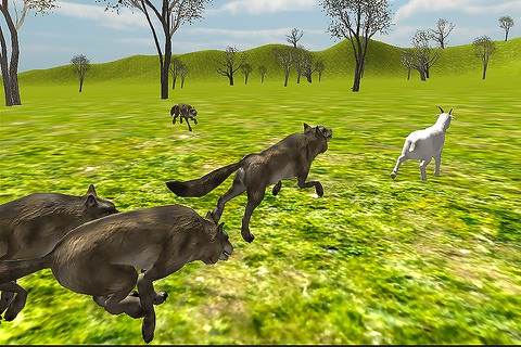 Kill The Wolf And Save The Goat screenshot 3