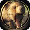 Real Wild Stray Bear Hunt Simulator Pro - Real Forest Hunts-Man Challenge