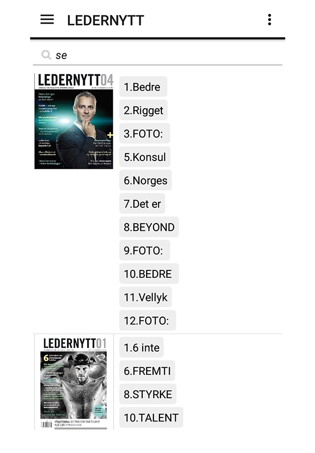 Ledernytt screenshot 4