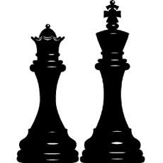 Activities of Teach Yourself To Play Chess