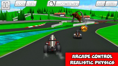 Screenshot from MiniDrivers - The game of mini racing cars