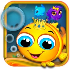 Activities of Fish Farm Link and Pop