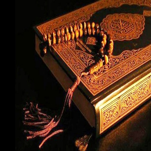 Quran Arabic Audio with English Explanation icon