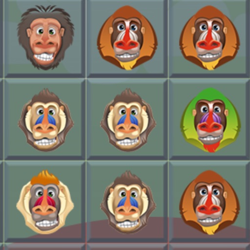 A Baboon Match Splity icon