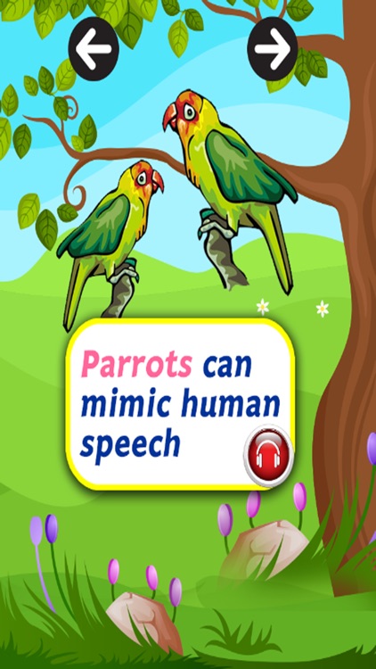 Learn English Vocabulary V.5 : learning Education games for kids and beginner Free screenshot-4