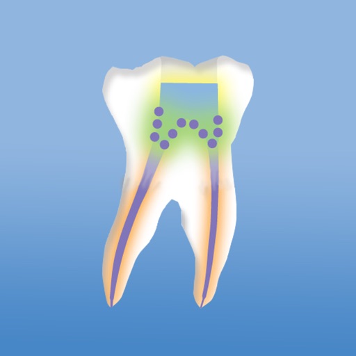 Dentsply-Endo-Resto-System icon