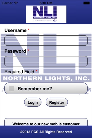 Northern Lights Electric screenshot 2