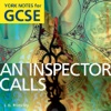 An Inspector Calls York Notes GCSE for iPad