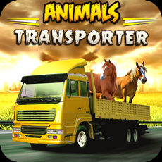Activities of Animal Transporter