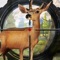 Deer Hunter Season 2016