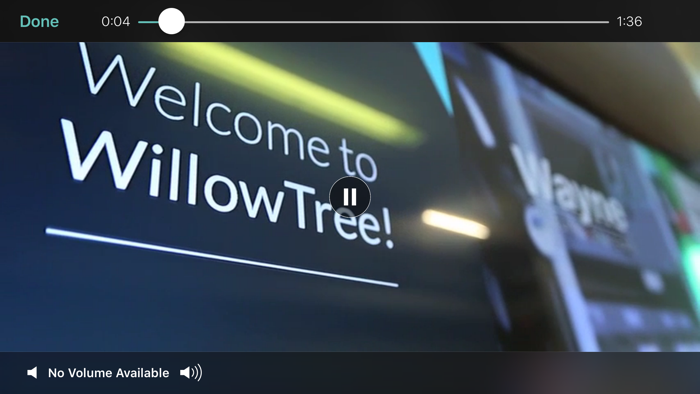 WillowTree TV