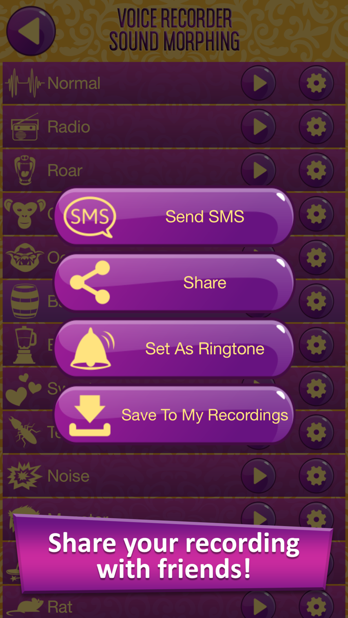 Voice Recorder Sound Morphing  Audio Effects - Transform your Speech with Vocal Changer