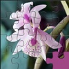 Beautiful Orchid Jigsaw HD Images - Puzzli Games For iPhone & iPad