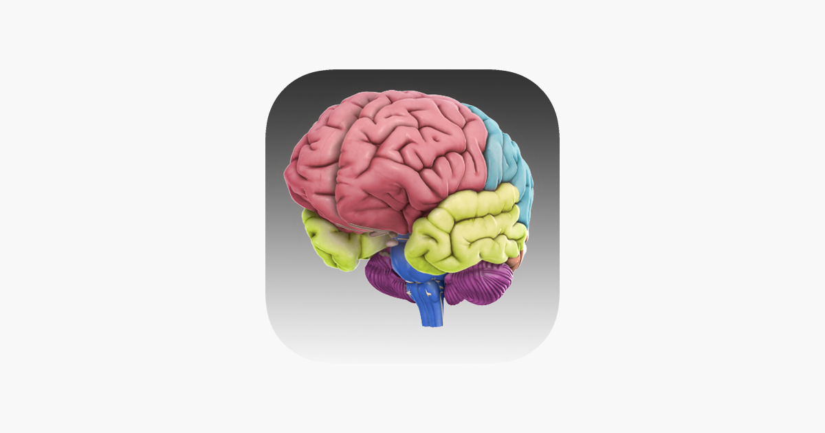 3d Brain をapp Storeで