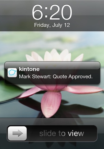 kintone screenshot 4