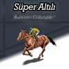 Süper Altılı