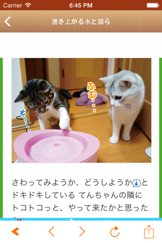 日刊ねこ新聞 - 猫ブログ＆ネコ動画アプリ screenshot 2