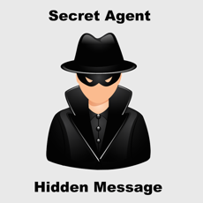 Activities of Secret Agent - Hidden Message
