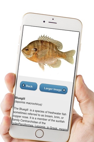 Fish ID Pro screenshot 2