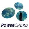 2015 PowerChord Digital Summit